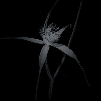 Penelope Gottlieb. Courtesy of Heather James Fine Art