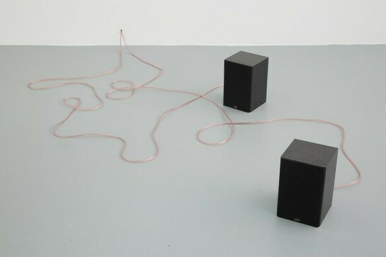 How the mind comes to be furnished James Irwin & Lilah Fowler, 2016