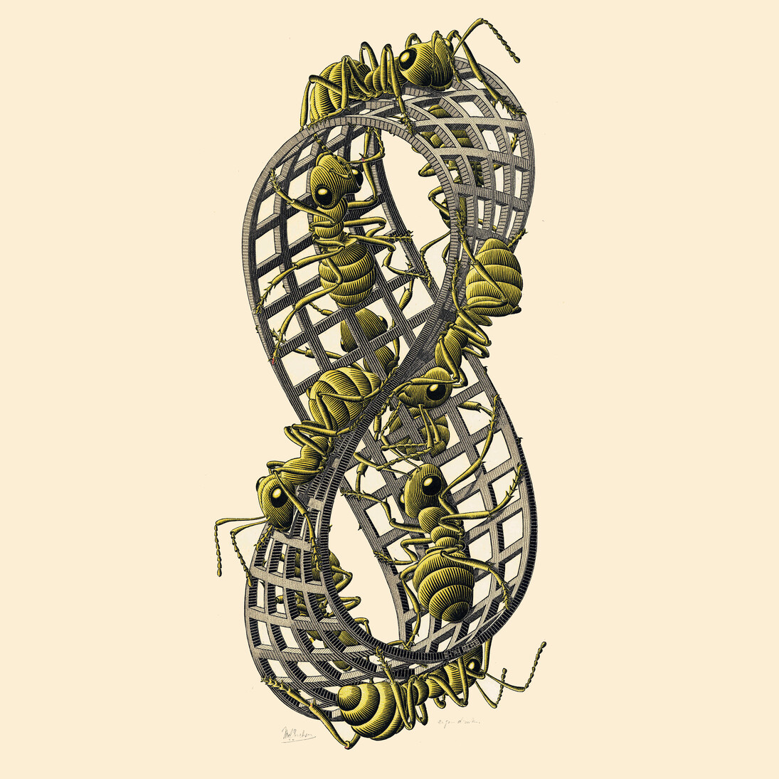Maurits Cornelis Escher, Nastro di Möbius II 1963 xilografia colorata cm 45,3 x 20,5 Collezione Federico Giudiceandrea. All M.C. Escher works © 2014 The
M.C. Escher Company. All rights reserved