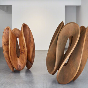 Gianpietro Carlesso. Courtesy of Ronchini Gallery