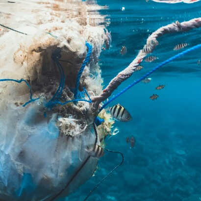 Ogni anno, tonnellate di microplastiche entrano nei mari, mettendo a rischio la biodiversità