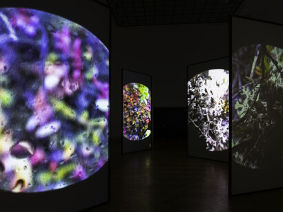 Steina, Borealis, 1993. Courtesy of the MIT List Visual Arts Center 