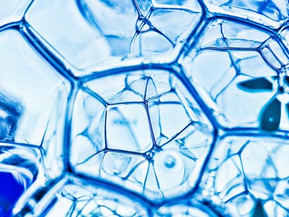 Molecules of water are the basis to understanding the origin of life