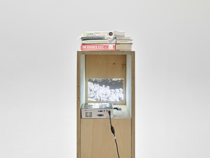 Sandra Erbacher, Invasive Species, Exhibition view, 2023. Courtesy of A.I.R Gallery