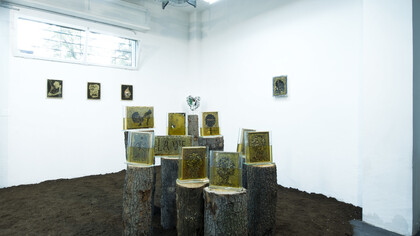 Nawras Shalhoub