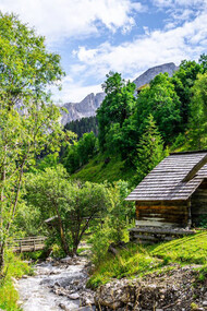 In this idyllic landscape, individuals can immerse themselves in nature while exploring the layers of their identity and aspirations for the future