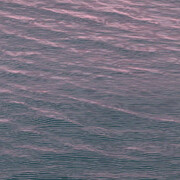 Ann Aspinwall. Courtesy of Garvey | Simon