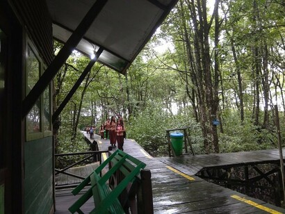 Tarakan area di protenzione per mangrovie e scimmie nasica (kawasan konservasi bakau)