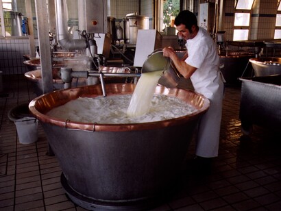 Parmesano Reggiano, añadiendo el suero inserto. Crédito Consorcio Parmesano Reggiano