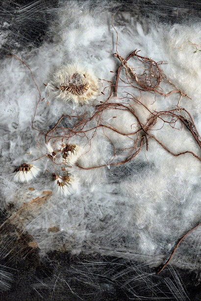 Subconscious Nature. Courtesy of Open Mind Art Space