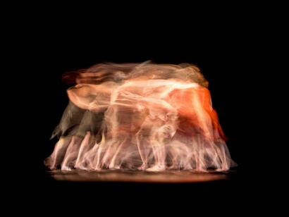 Ora osservo il tuo volto 