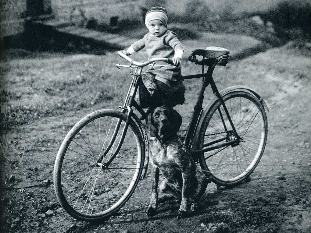 August Sander, Forester’s Child, dettaglio, Westerwald, 1931