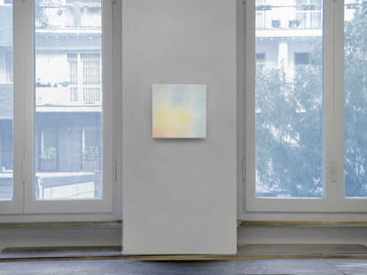 Jacana’s frontal shield or frontal as shields are frontal. Courtesy of The Workbench