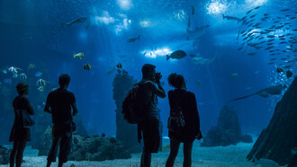 Visitantes en el Oceanográfico ("Oceanário") de Lisboa
