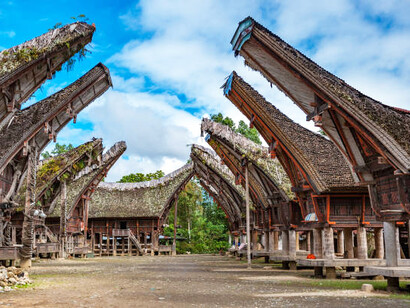 Tana Toraja's Tongkonan houses serve as cultural symbols, representing the family’s social status and their deep connection to ancestral traditions