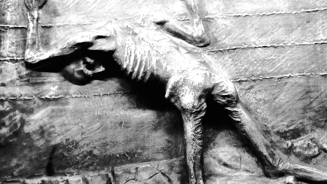 Cuerpo de un prisionero en alguno de los campos de concentración del régimen nazi