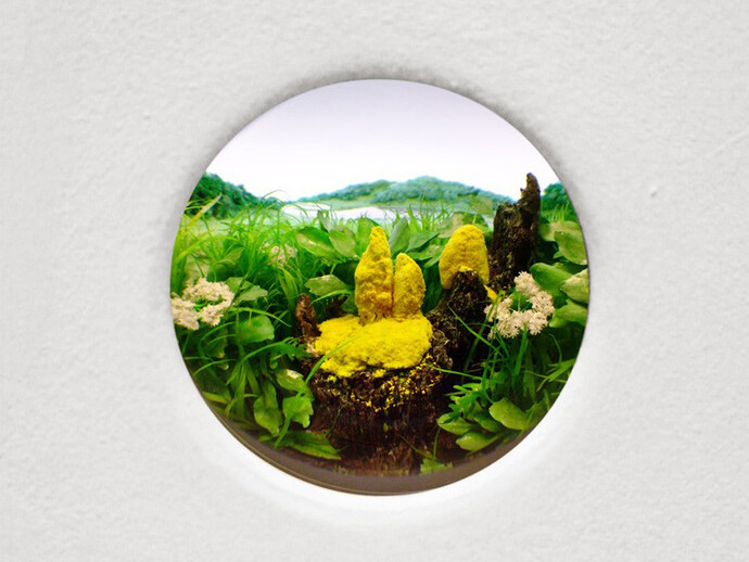 Yellow Slime Mold with Stump, 2015, Diorama viewed with 2 inch (5 cm) lens. Styrene, acrylic, cast neoprene, paper, ash, talc, starch, polyurethane foam, acrylite, vinyl film, wood, steel, lighting, BK7 glass. Concealed box dimensions: 14.75 x 11.25 x 9.25 inches