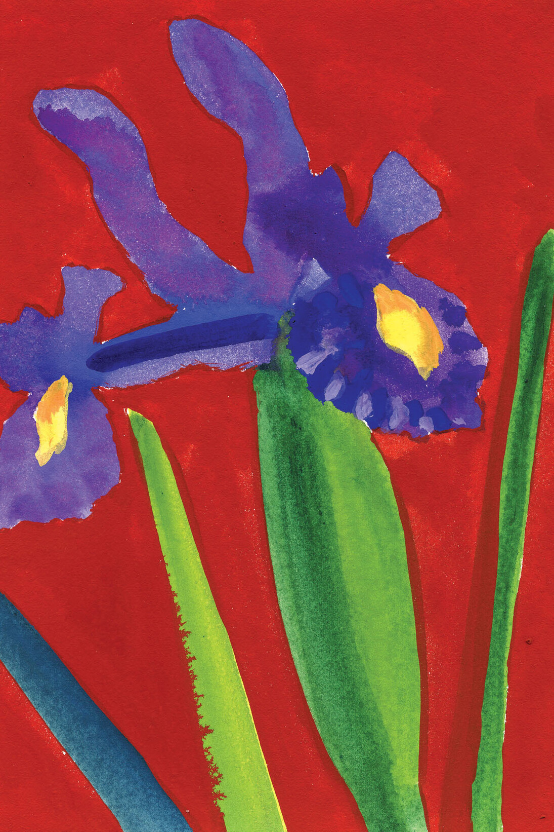 Nerys Johnson, Iris on red ground, gouache 1998, 19 x 14 cm