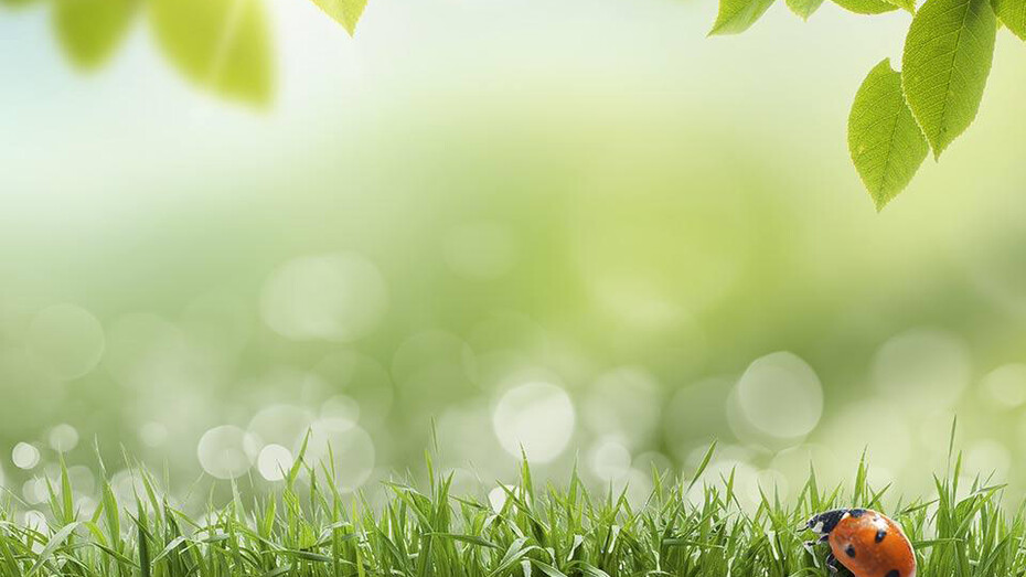 L'oroscopo di Maggio