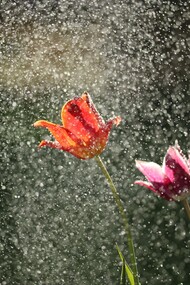 Words sometimes become shy as life passes by