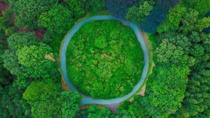 Bisogno di sostenibilità
