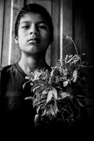 Cosmogonia Shuar #31N,  Ecuador 2016