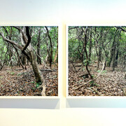 Hilary Tolan, In this Place, exhibition view. Courtesy the artist and Kingston Gallery