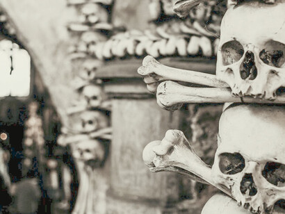 A neatly arranged understanding of death in the shape of skulls