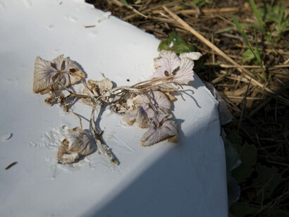 Costanza Battaglini - Lago di Santa Maria