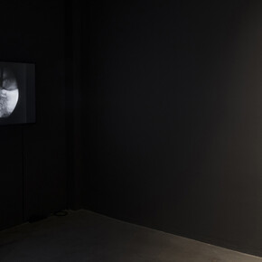 Ana Mendieta. Courtesy of Nogueras Blanchard