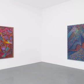 Zach Harris, Exhibition view. Courtesy of Perrotin Paris