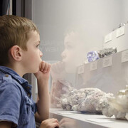 Minerals of New York. Courtesy of New York State Museum