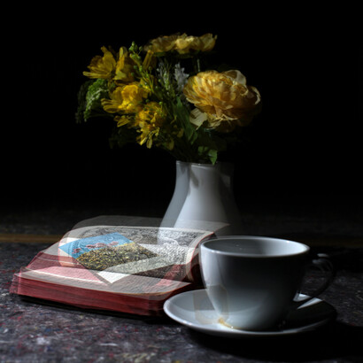 Davide Coltro, Nature morte