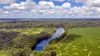 Floresta Nacional do Tapajós, Pará, Brasil
