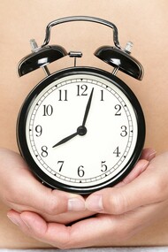 Body clock