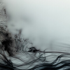 Wolfgang Tillmans. Courtesy of Fondation Beyeler 