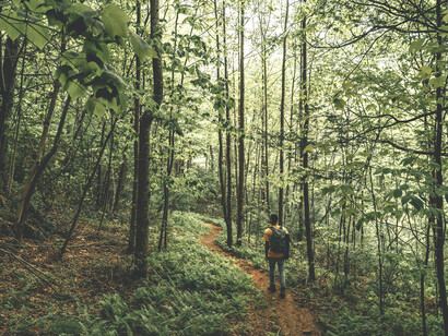 Two paths representing the confusion between right and wrong