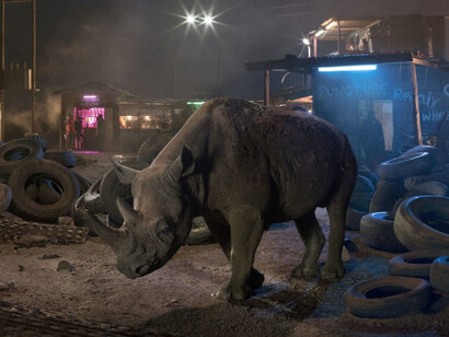 Nick Brandt. Courtesy of Waddington Custot Galleries