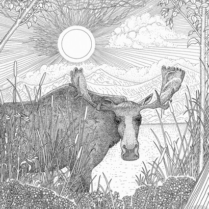 Michael Stillwater, Moose, detail