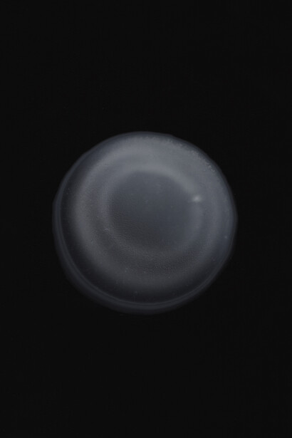 Ismail Bahri, Latence series, 2011