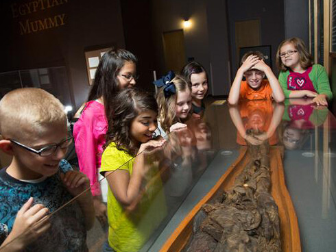 The Human Body. Courtesy of Science Museum of Minnesota