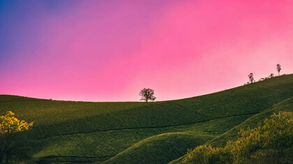 La poesia può migliorare la conoscenza di sé 