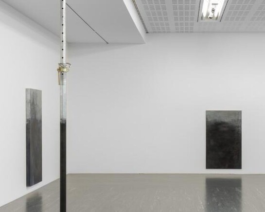 Anita Leisz. Courtesy of 21er Haus