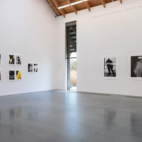 Ralph Gibson, Nature. Object, exhibition view. Courtesy of Parrish Art Museum
