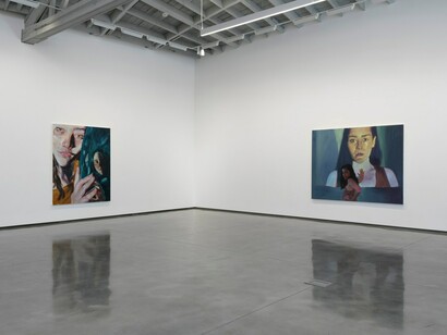 Jenna Gribbon, Like looking in a mirror, exhibition view. Courtesy of David Kordansky Gallery
