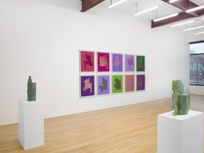 Abdolreza Aminlari, Border, exhibition view. Courtesy of Andrew Rafacz