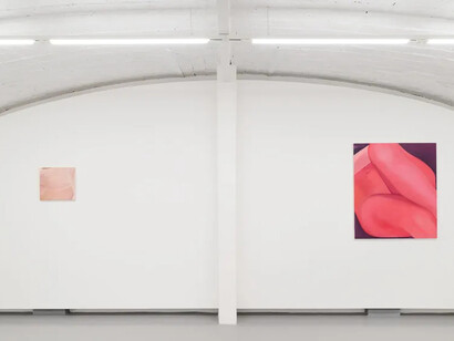 Adelisa Selimbašić, The dancefloor, exhibition view. Courtesy of z2o Sara Zanin Gallery