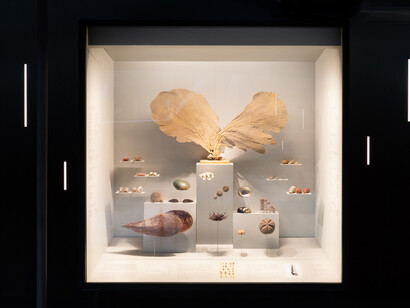 Galerie Émile Guimet, vue d'exposition. Avec l'aimable autorisation du Musée des Confluences
