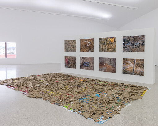 Natural Histories, Exhibition view. Courtesy of Mumok 