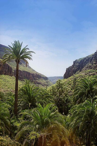 Paesaggio naturalistico a Gran Canaria, Spagna